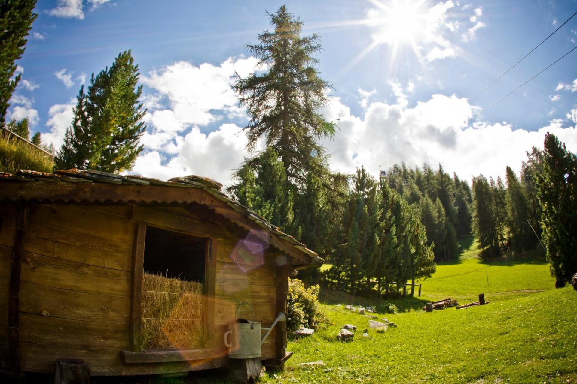 Chaletbethere Pila  Buitenkant foto